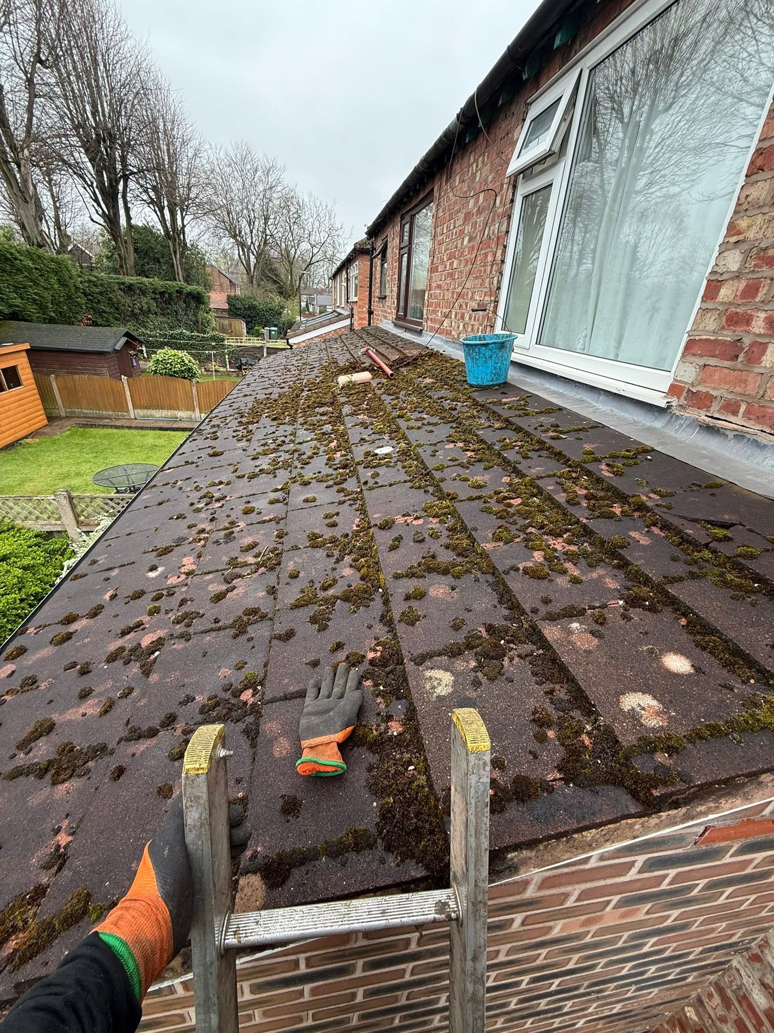 Flat garage roof before, thick with moss